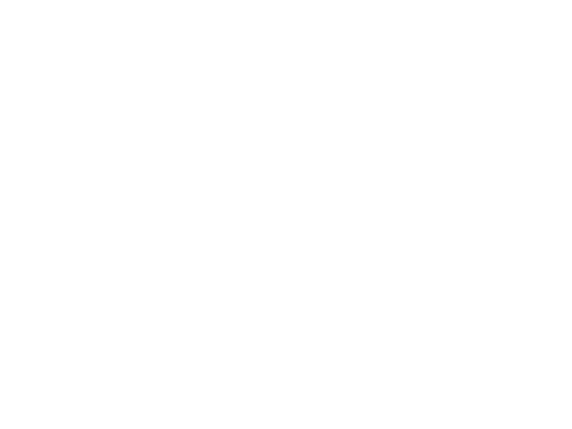 SGV_STMark_Reversed st. george logo